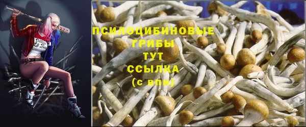 спиды Армянск